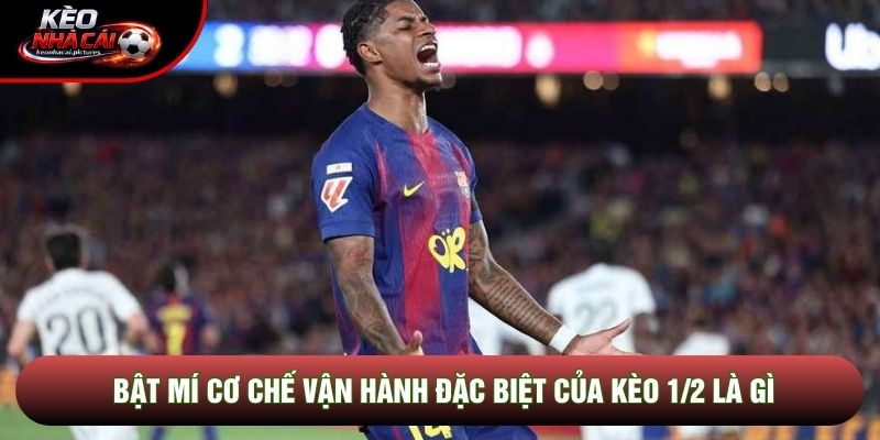 Bật mí cơ chế vận hành đặc biệt của kèo 1/2 là gì