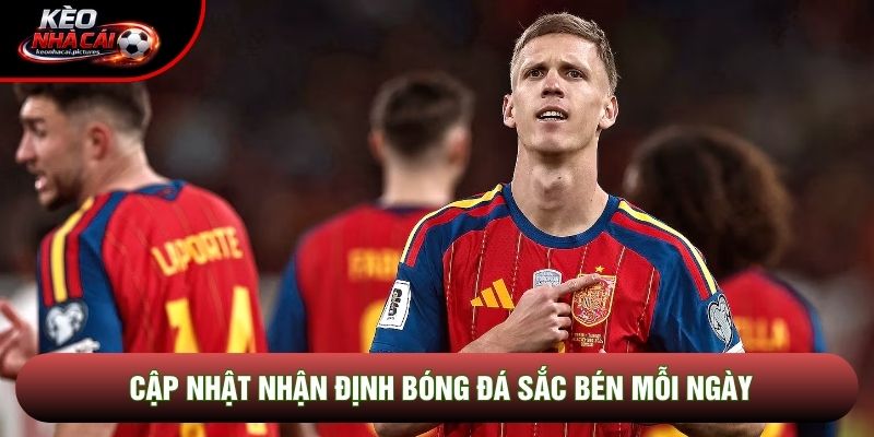 Cập nhật nhận định bóng đá sắc bén mỗi ngày
