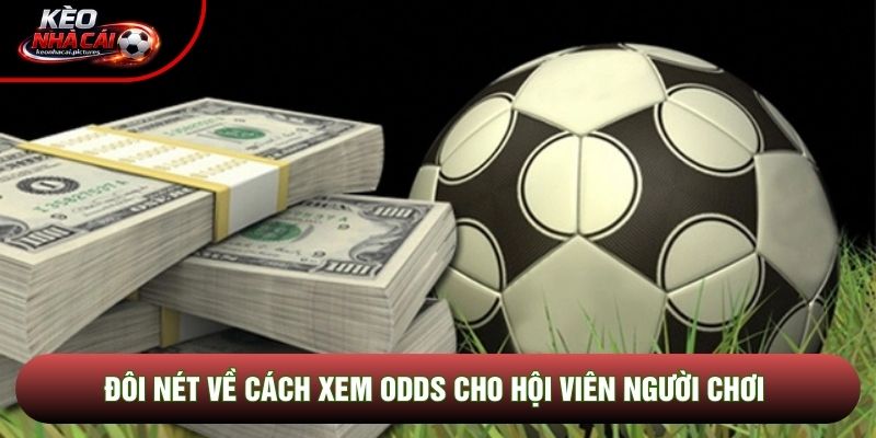 Đôi nét về cách xem odds cho hội viên người chơi