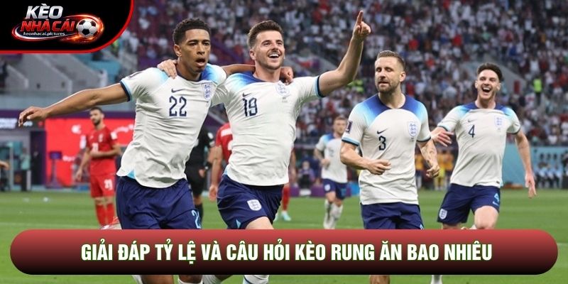 Giải đáp tỷ lệ và câu hỏi kèo rung ăn bao nhiêu