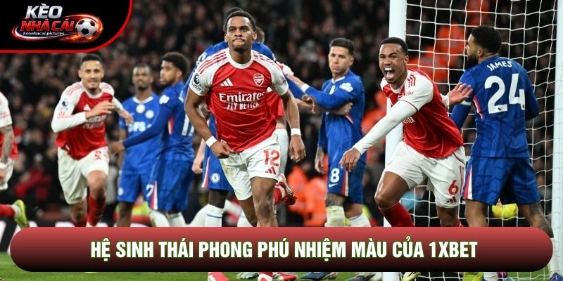 Hệ sinh thái phong phú nhiệm màu của 1xbet