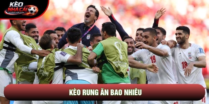 Kèo Rung Ăn Bao Nhiêu Và Cách Tính Lợi Nhuận Chuẩn Xác Nhất