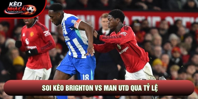 Soi kèo Brighton vs Man Utd qua tỷ lệ