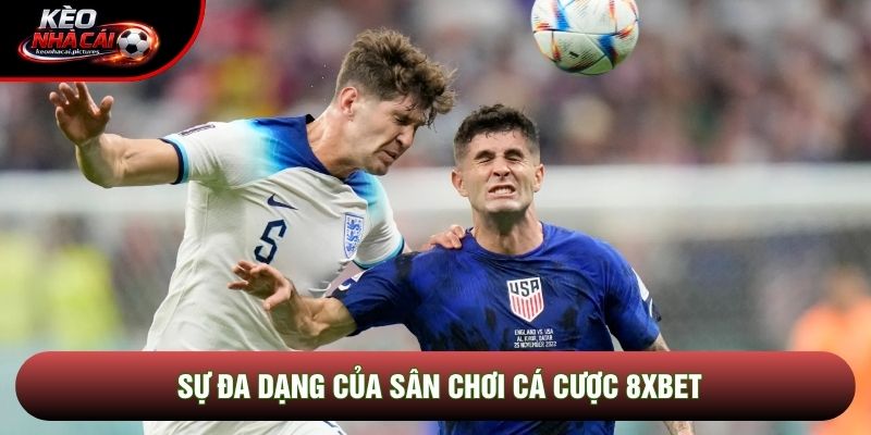 Sự đa dạng của sân chơi cá cược 8xbet