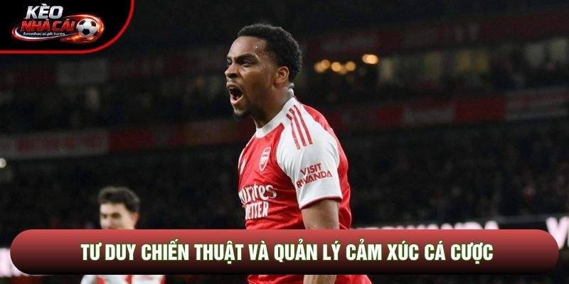 Tư duy chiến thuật và quản lý cảm xúc cá cược Tư duy chiến thuật và quản lý cảm xúc cá cược